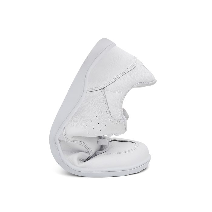 Tênis casual Cão Caramelo - Branco - Imagem 8