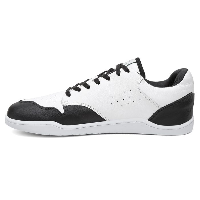 Tênis casual Cão Caramelo - Flocos - Imagem 8